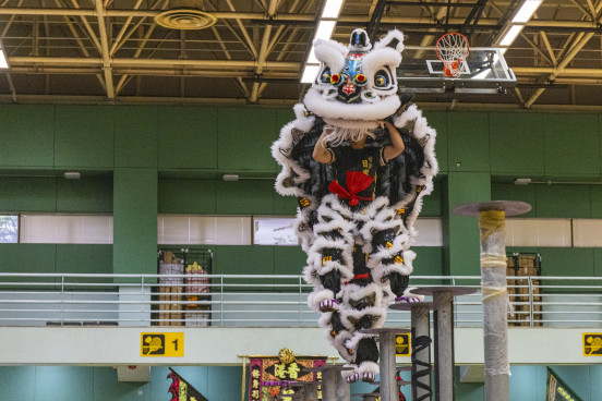 Dragon and Lion Dancing Highlights