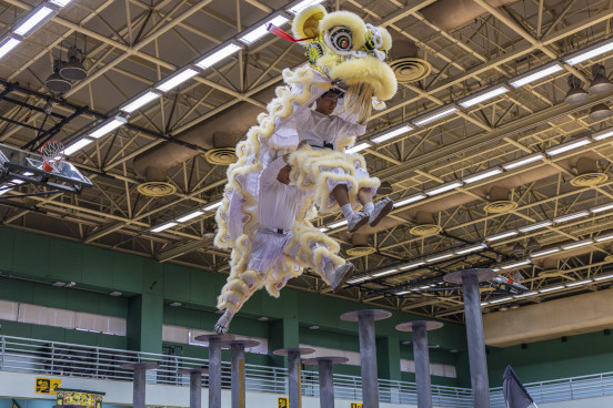 Dragon and Lion Dancing Highlights