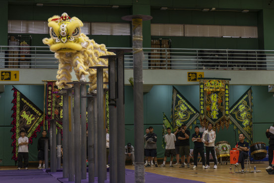 Dragon and Lion Dancing Highlights