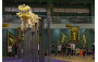 Dragon and Lion Dancing Highlights