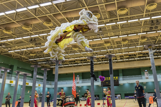 Dragon and Lion Dancing Highlights