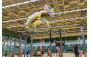 Dragon and Lion Dancing Highlights