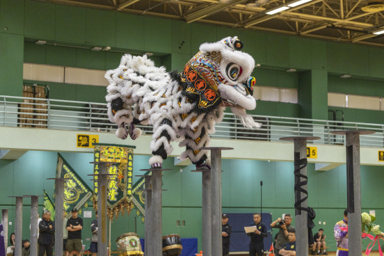 Dragon and Lion Dancing Highlights