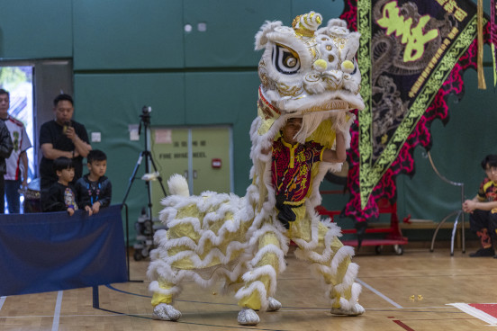 Dragon and Lion Dancing Highlights