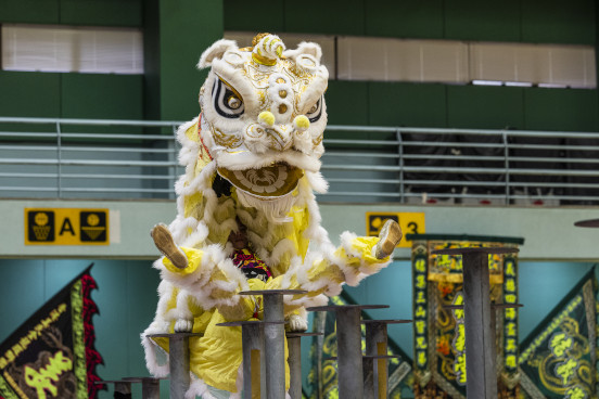 Dragon and Lion Dancing Highlights