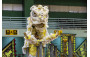Dragon and Lion Dancing Highlights