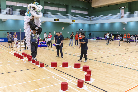 Dragon and Lion Dancing Highlights