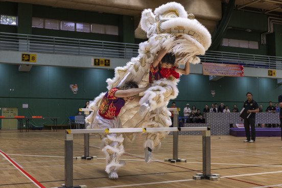 Dragon and Lion Dancing Highlights