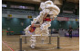 Dragon and Lion Dancing Highlights
