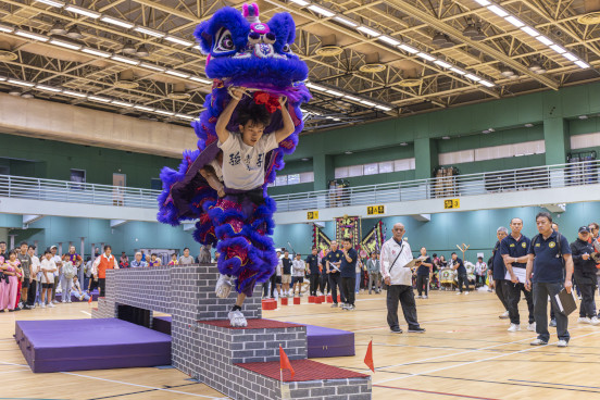 Dragon and Lion Dancing Highlights
