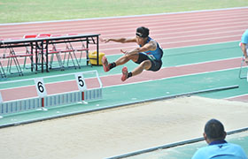 田徑