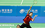 Badminton Competition Highlights 