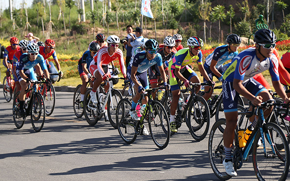 自行車比賽花絮 