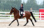 馬術比賽花絮 