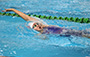 游泳比賽花絮 