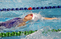 游泳比賽花絮 