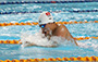游泳比賽花絮 