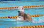 游泳比賽花絮 