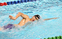 游泳比賽花絮 