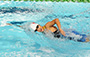 游泳比賽花絮 