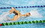 游泳比賽花絮 