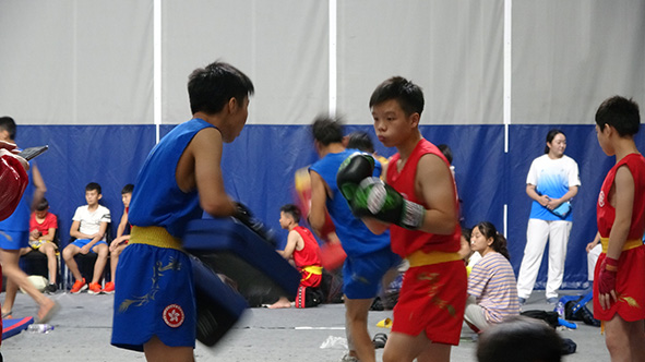 Wushu Competition Highlights 