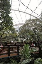 The Edward Youde Aviary