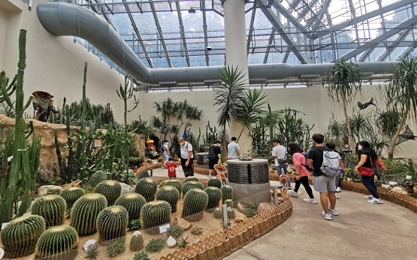 霍士傑溫室旱區植物展覽館