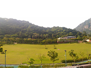 Central Lawn