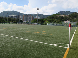 Artificial Turf Soccer Pitches