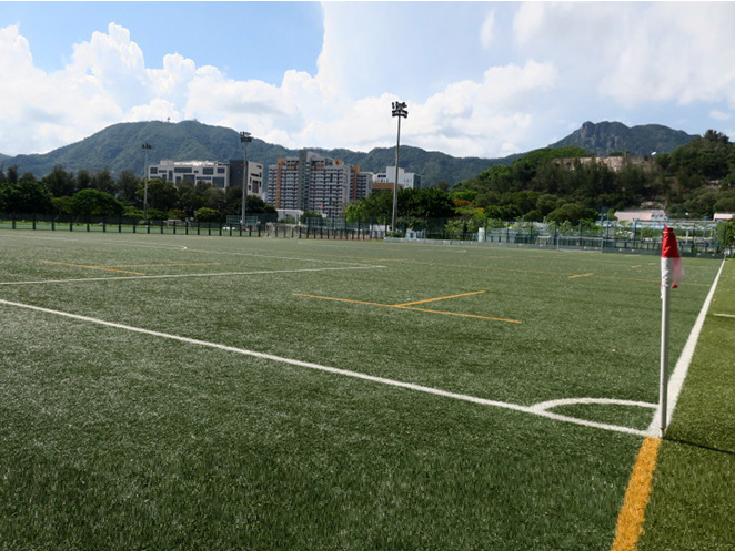 Artificial turf soccer pitch