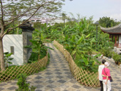 Banana Tree Path 1