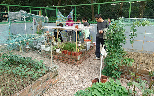 社区园圃 - 种植研习班