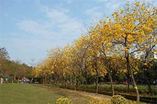 Nam Cheong Park