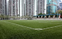 7-a-side Artificial Turf Soccer Pitch (Quarry Bay Park)