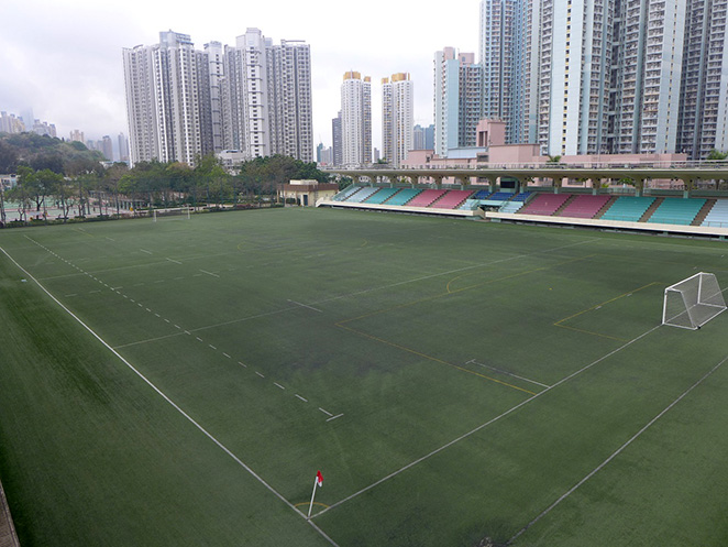 Artificial Turf Pitch