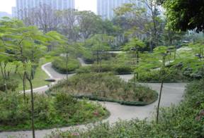 Azalea Garden 1