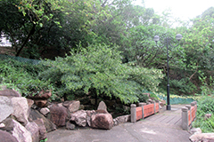 自然保育園地 2