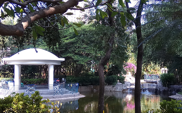 Tung Chau Street Park