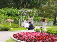 香花园-这个西式园景种植了香花品种植物，例如黄兰、茉莉、鸳鸯茉莉及含笑，再配衬庭园家具及雕塑，是拍照的好地方。1