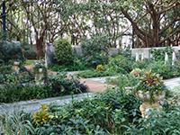 西式花園 