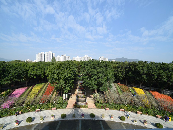 A panoramic view of the Floral Display