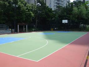 Basketball cum Volleyball Court