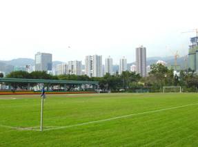 Grass Soccer Pitch