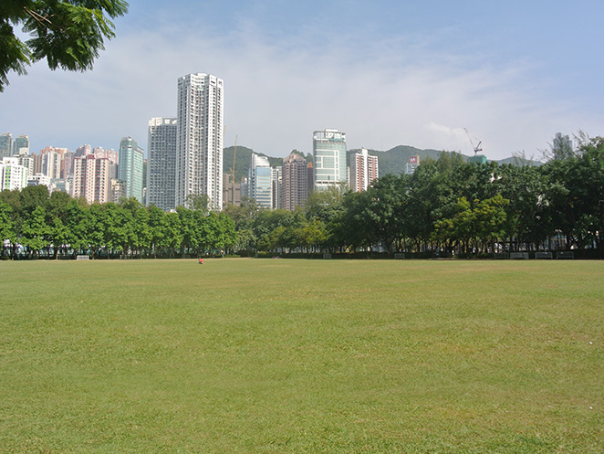 Central Lawn