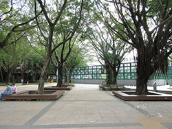 Entrance Plaza