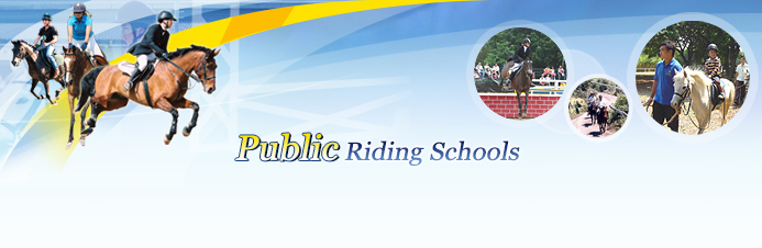 Horse Riding Schools