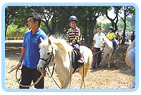Tuen Mun Public Riding School6