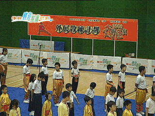 Wushu Performance 2006