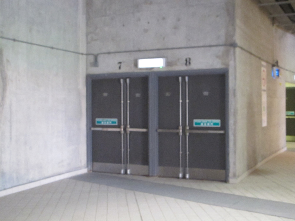 Security and Crowd Safety